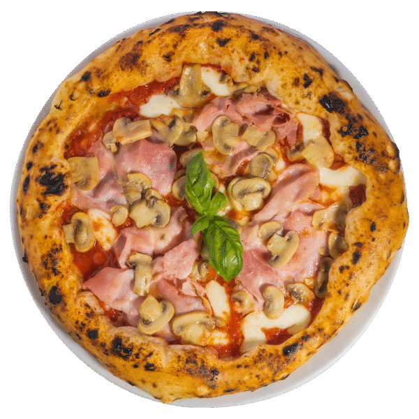 AJ_Pizza_ProsciuttoFunghi Regina